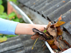 Gutter Cleaning